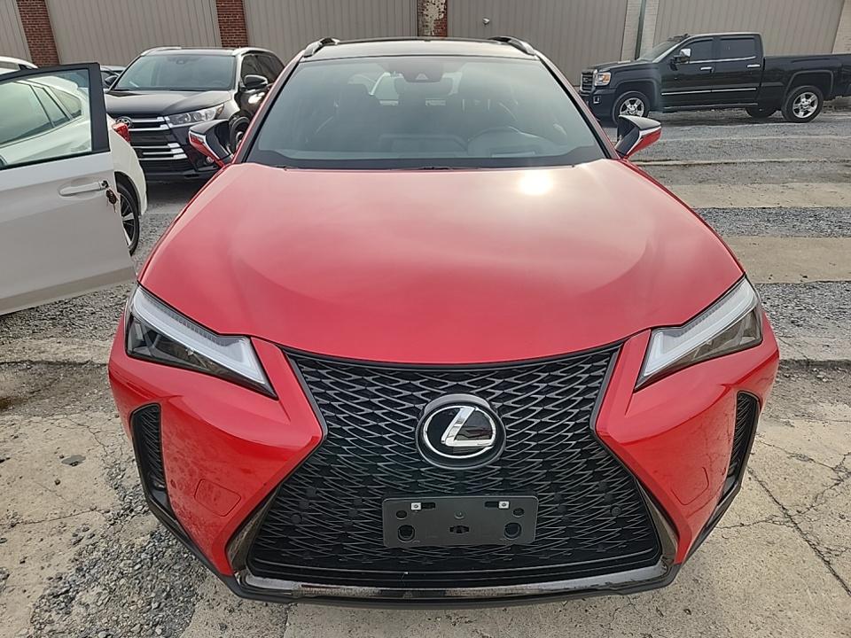 Lexus UX 250 h 2023 — photo 2