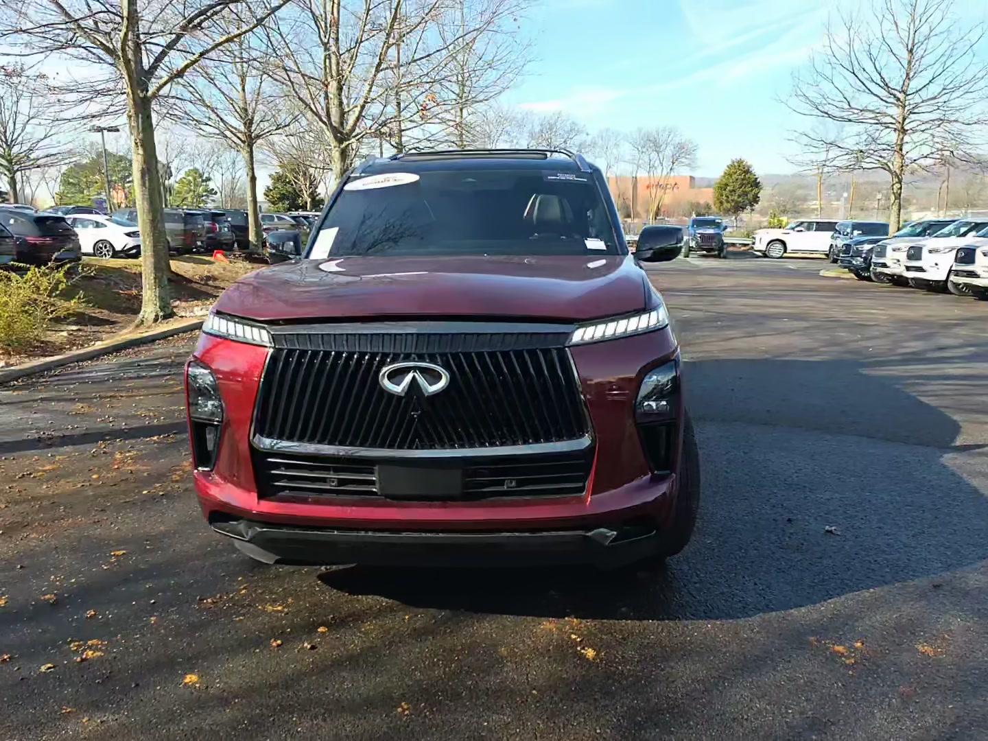Infiniti QX 80 2025 — photo 2