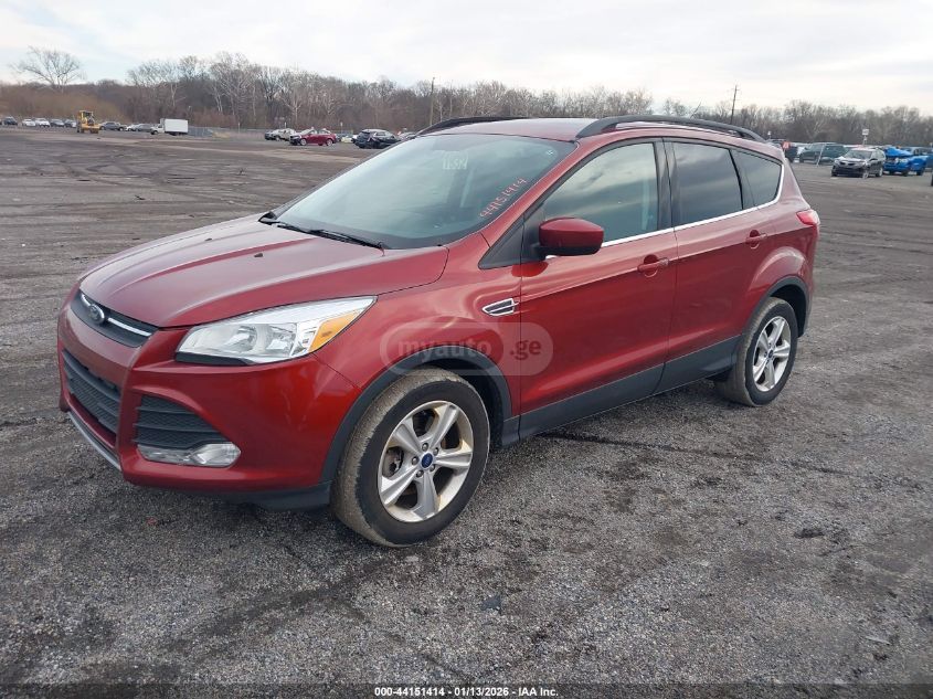 Ford Escape
