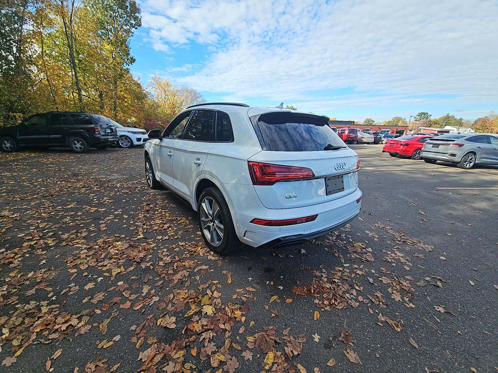 Audi Q5 2025 — photo 2