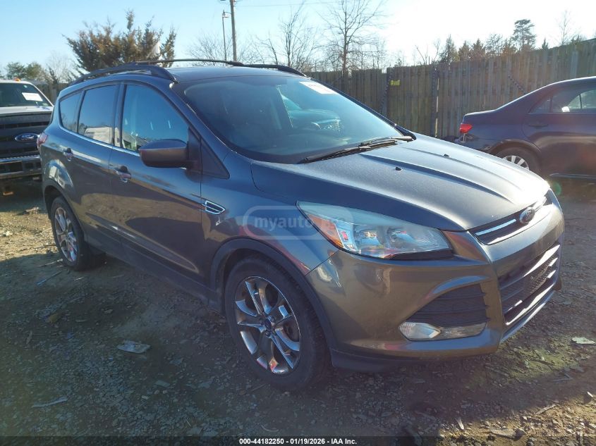 Ford Escape 2014 — photo 2