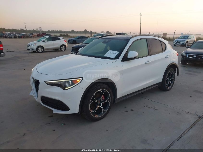 Alfa Romeo Stelvio 2019 — photo 2