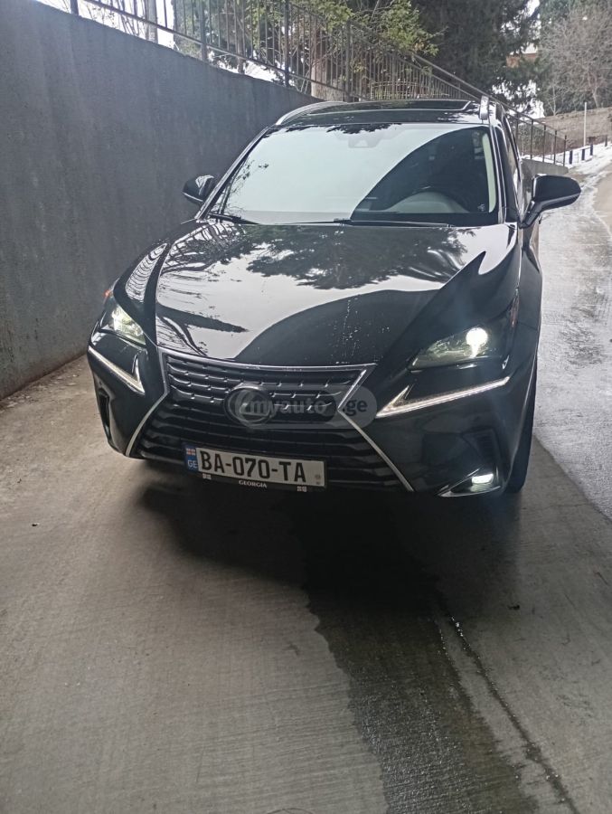Lexus NX 300 2020 — photo 2