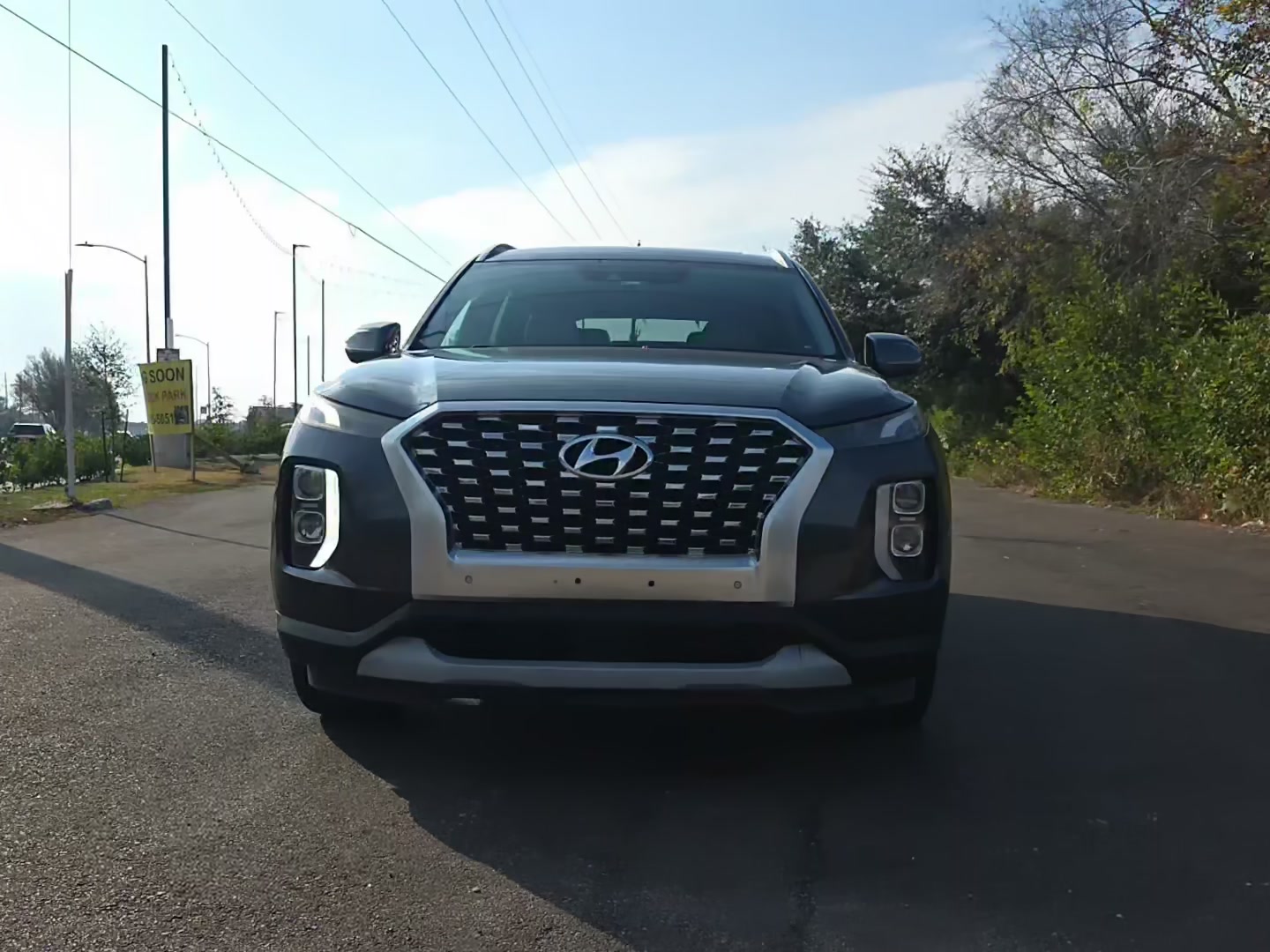 Hyundai Palisade 2020 — photo 2