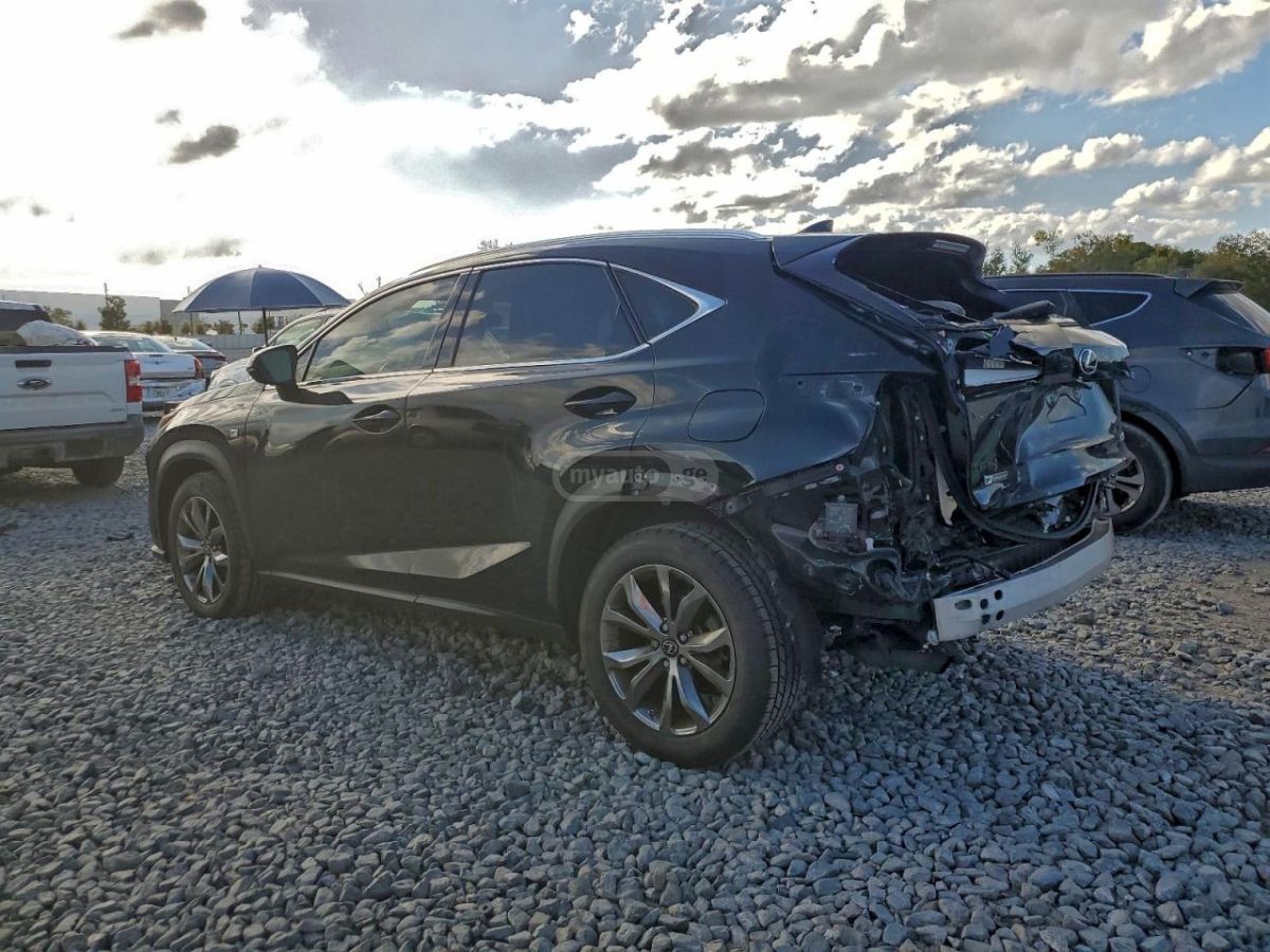 Lexus NX 300 2020 — photo 2