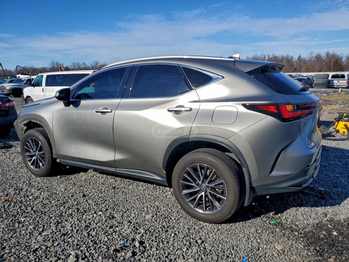 Lexus NX 200 2024 — photo 2