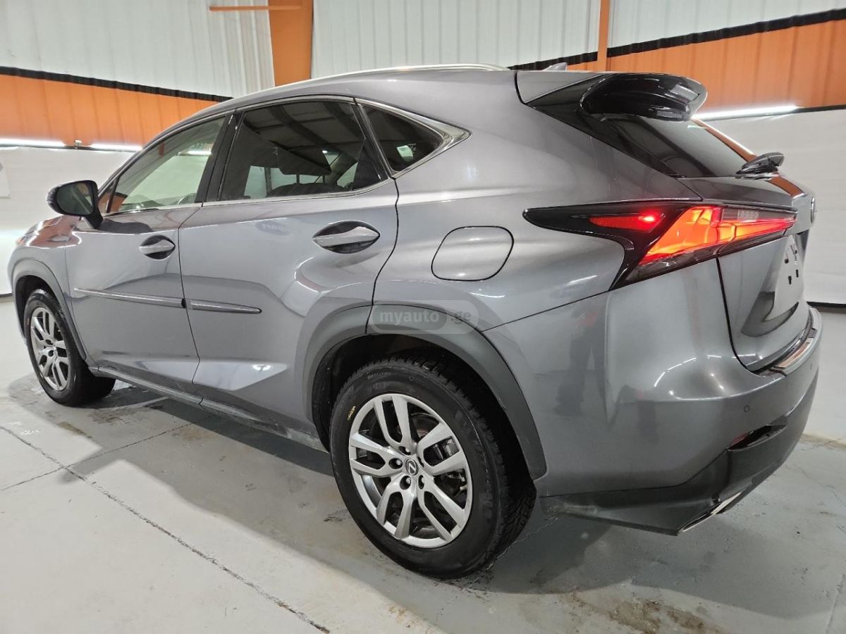 Lexus NX 300 2019 — photo 2