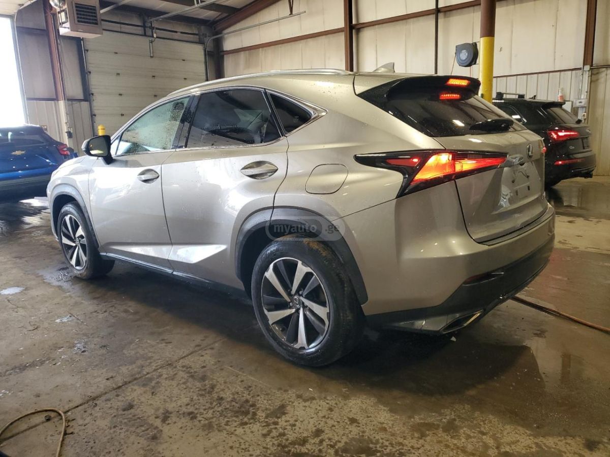 Lexus NX 300 2019 — photo 2
