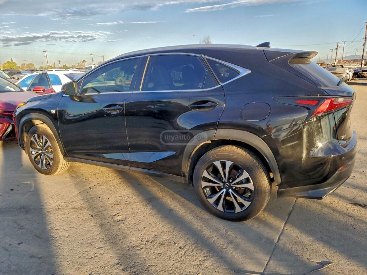 Lexus NX 300 2020 — photo 2