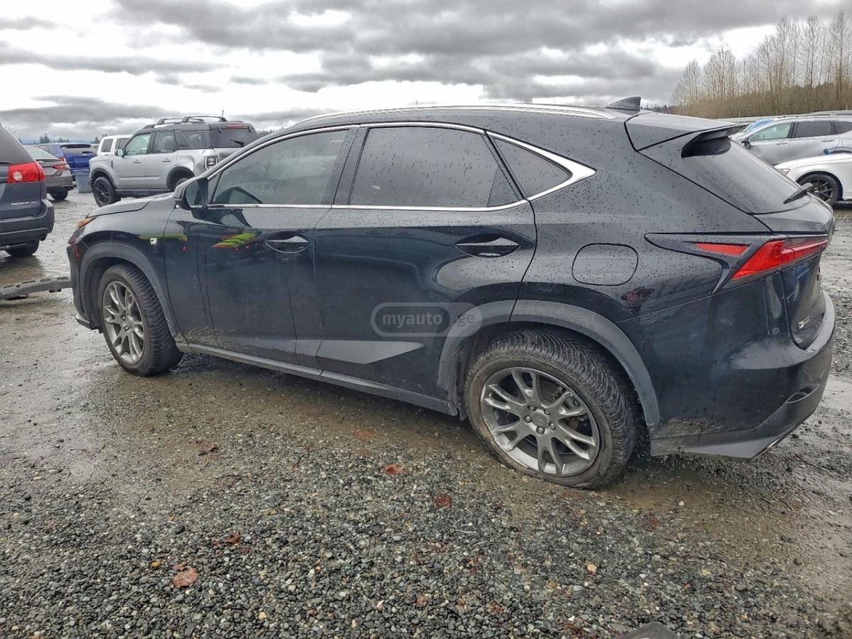 Lexus NX 300 2019 — photo 2