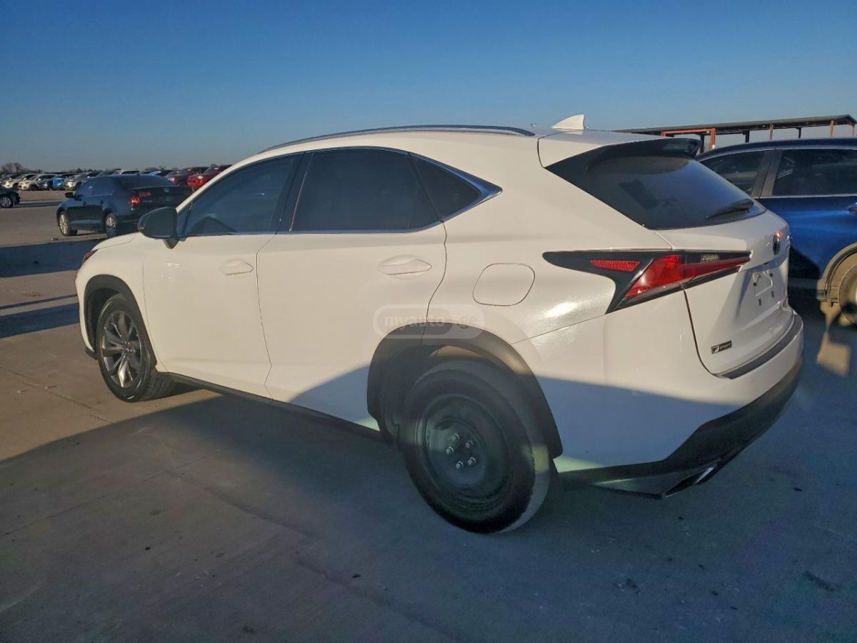 Lexus NX 300 2020 — photo 2