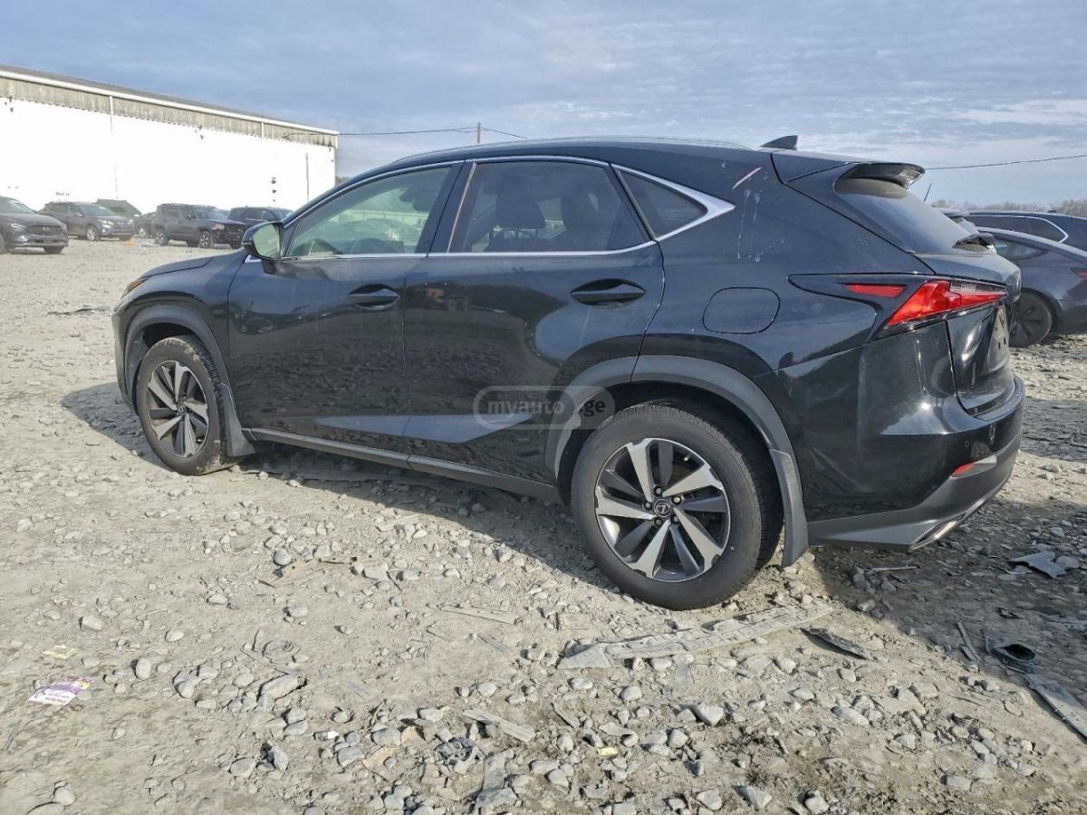Lexus NX 300 2019 — photo 2