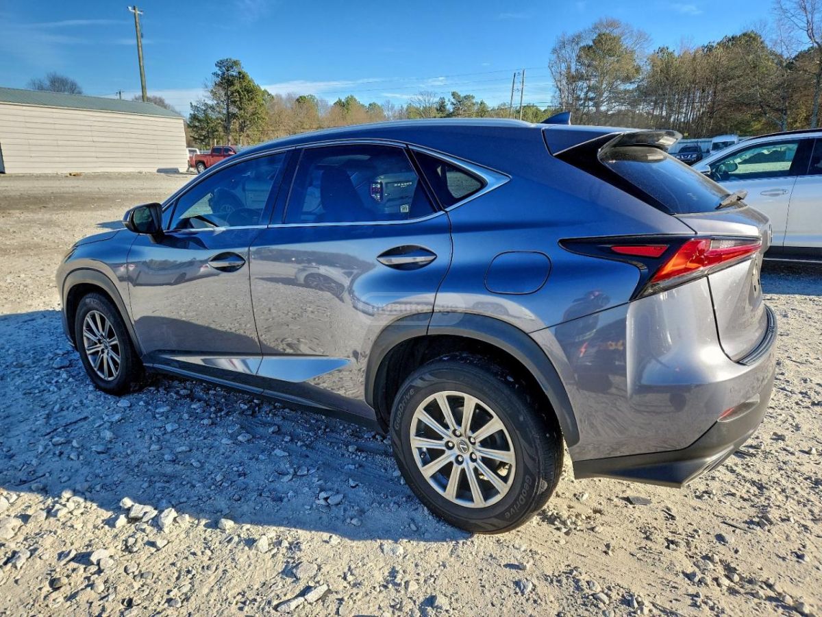 Lexus NX 300 2019 — photo 2