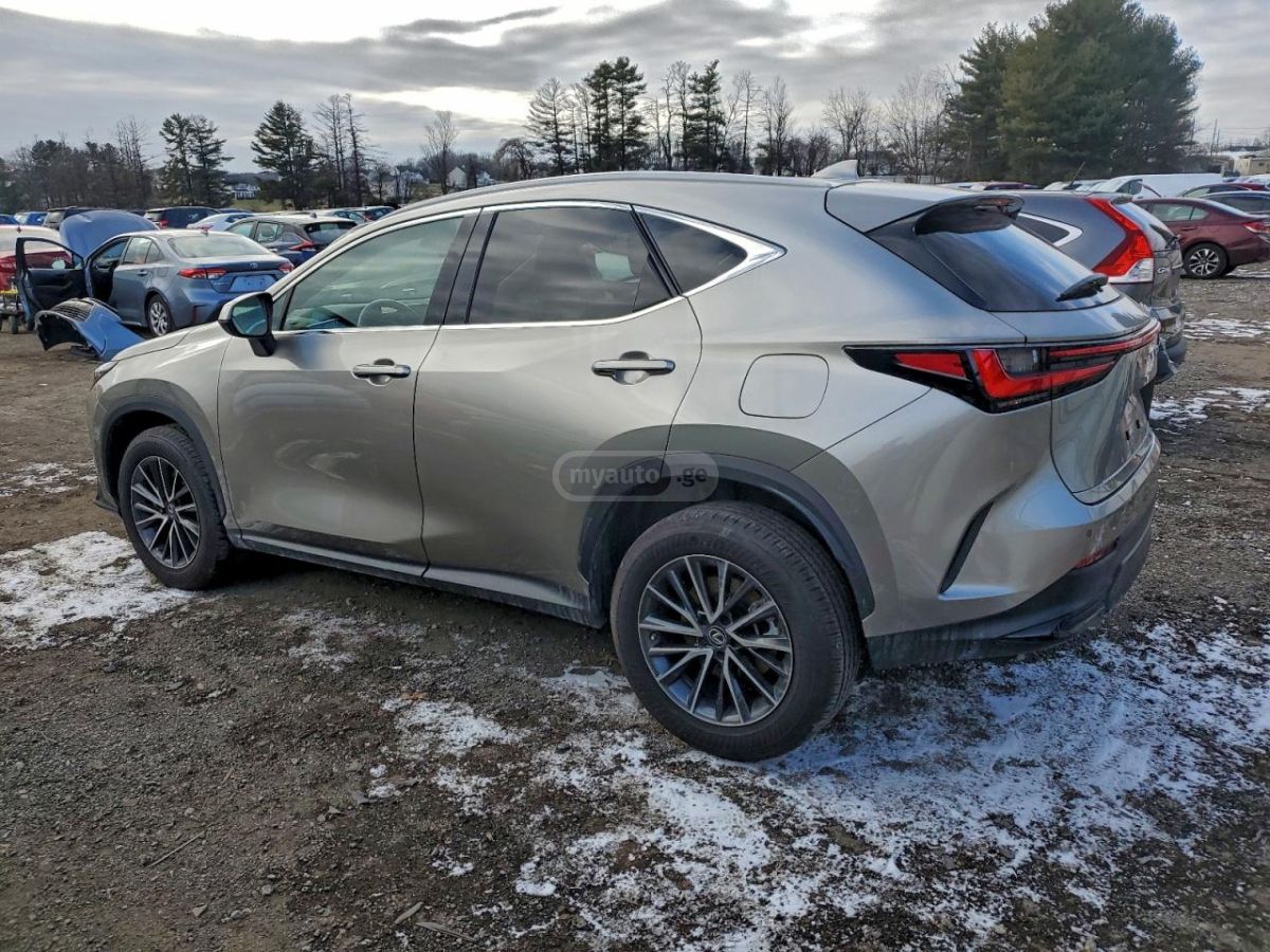 Lexus NX 200 2023 — photo 2