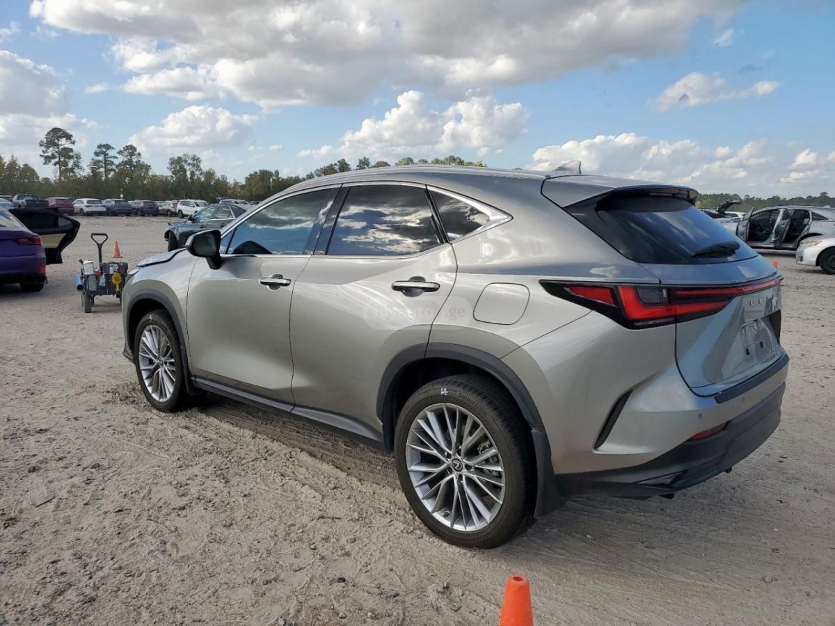 Lexus NX 200 2023 — photo 2