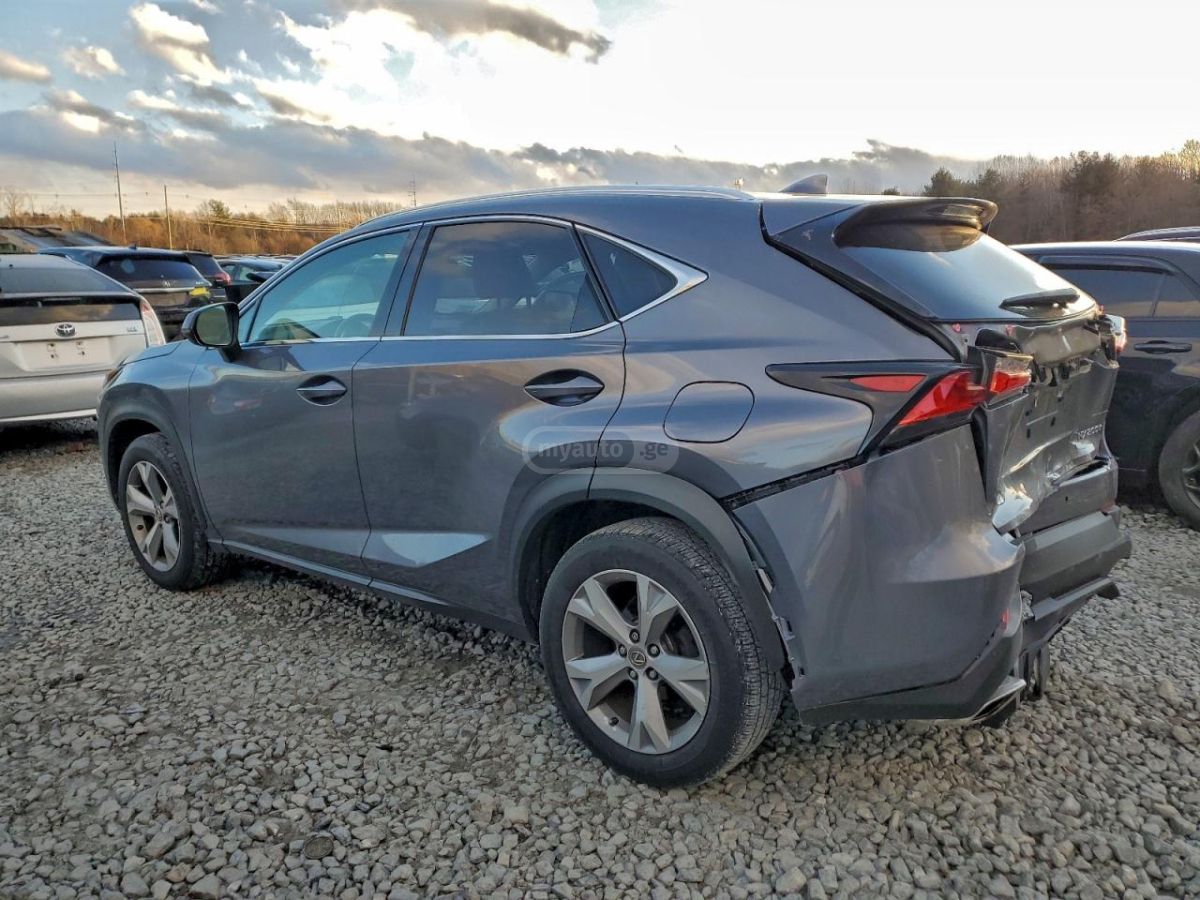Lexus NX 200 2017 — photo 2