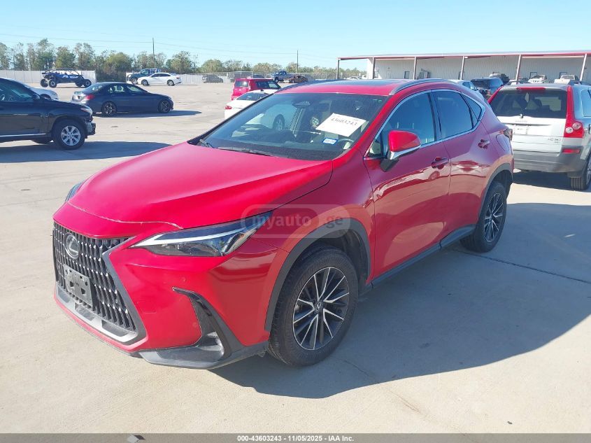Lexus NX 350 2024 — photo 2