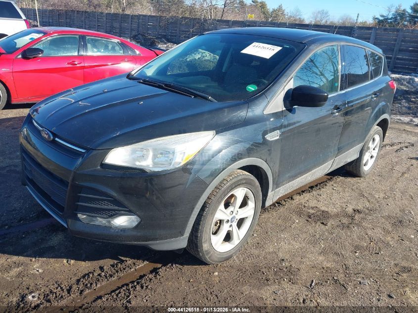 Ford Escape 2016 — photo 2