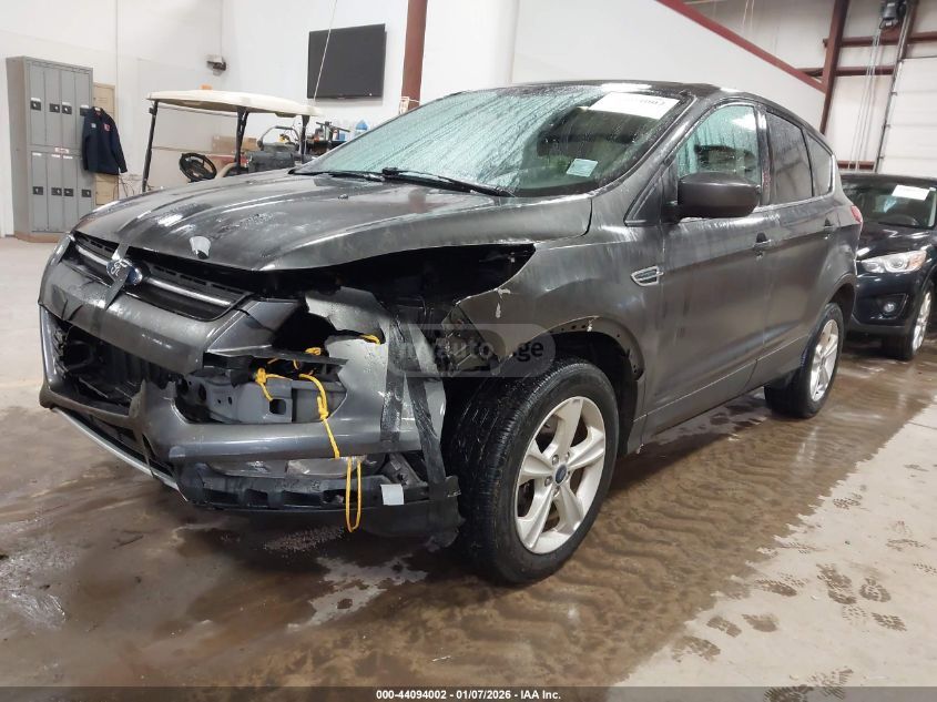 Ford Escape 2015 — photo 2