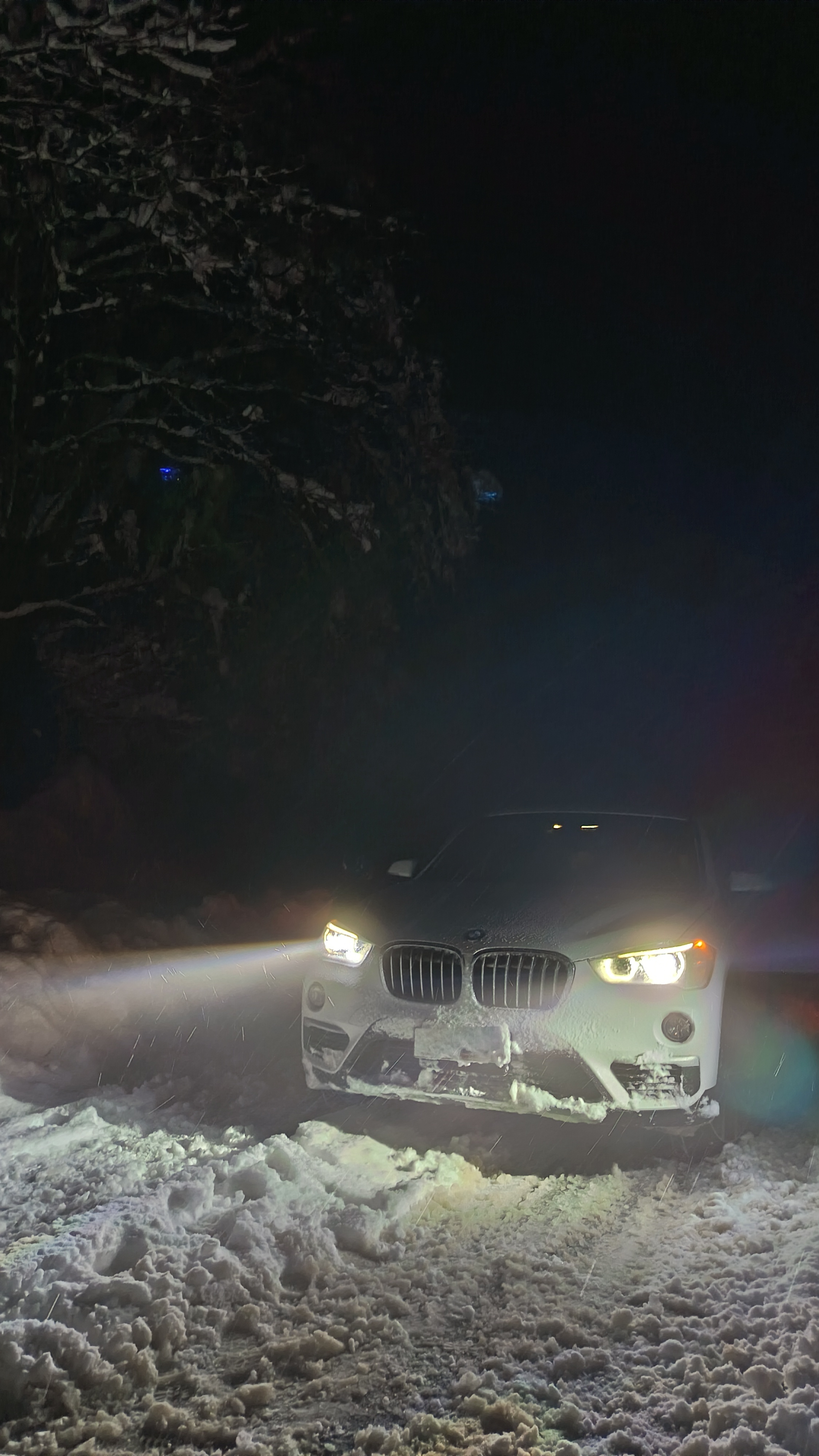 BMW X1 2015 — photo 2