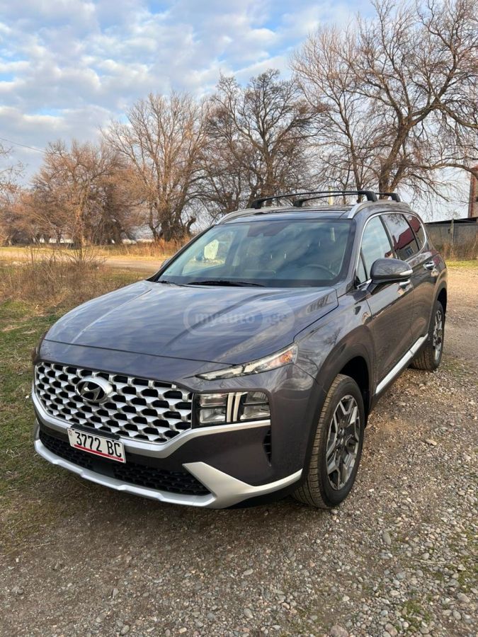 Hyundai Santa Fe 2021 — photo 2