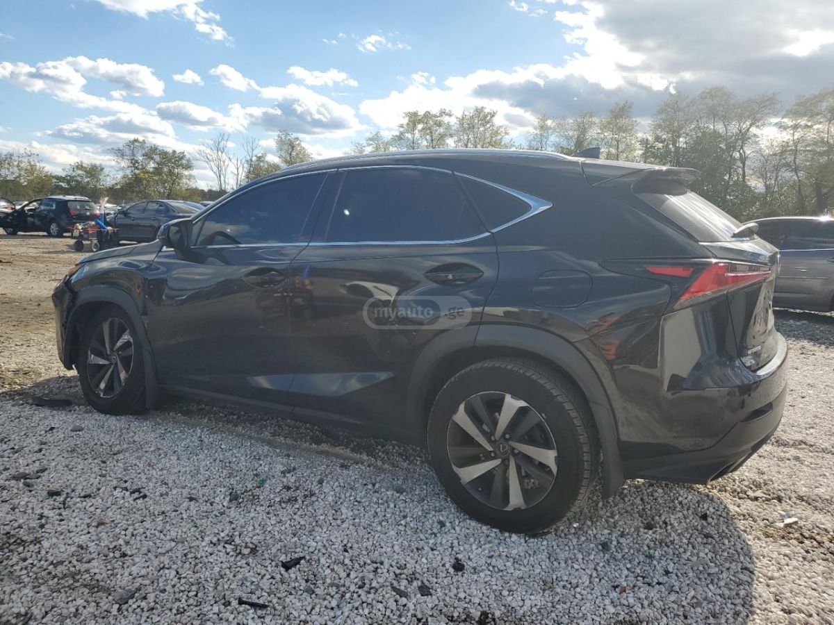 Lexus NX 300 2021 — photo 2