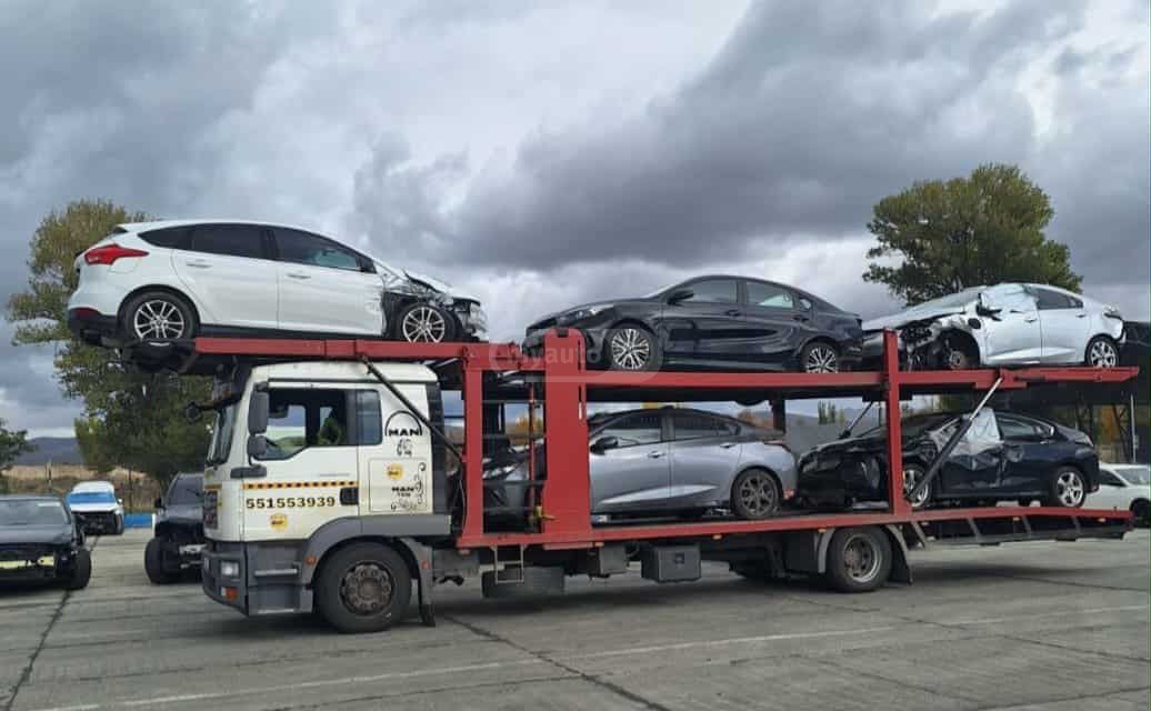 Isuzu TGM 2009 — photo 2