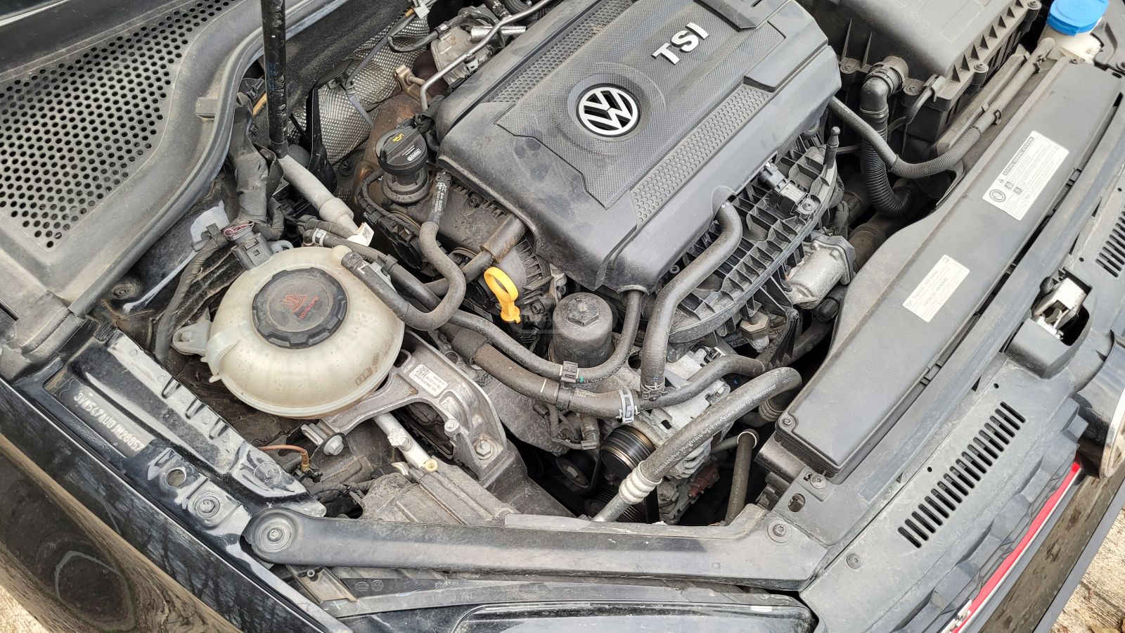 Volkswagen GTI 2018 — photo 2