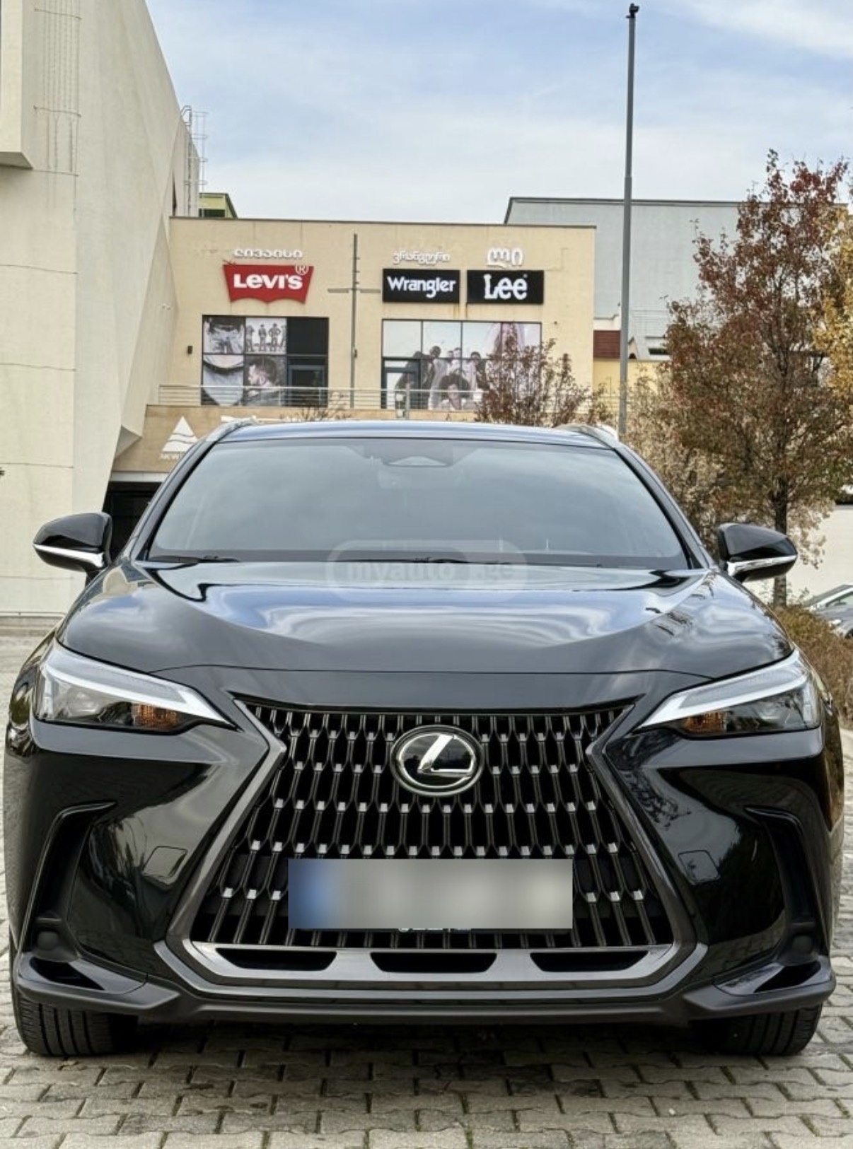Lexus NX 200 2023 — photo 2