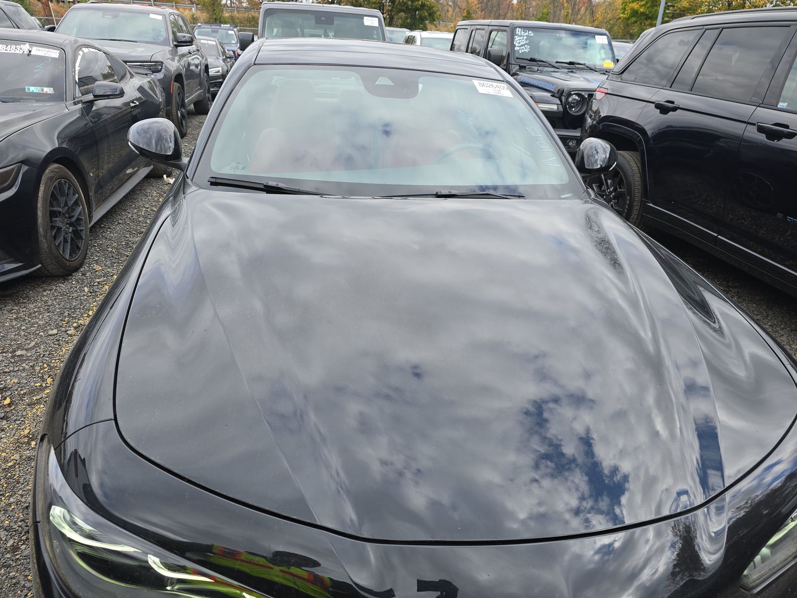 Alfa Romeo Giulia 2024 — photo 2