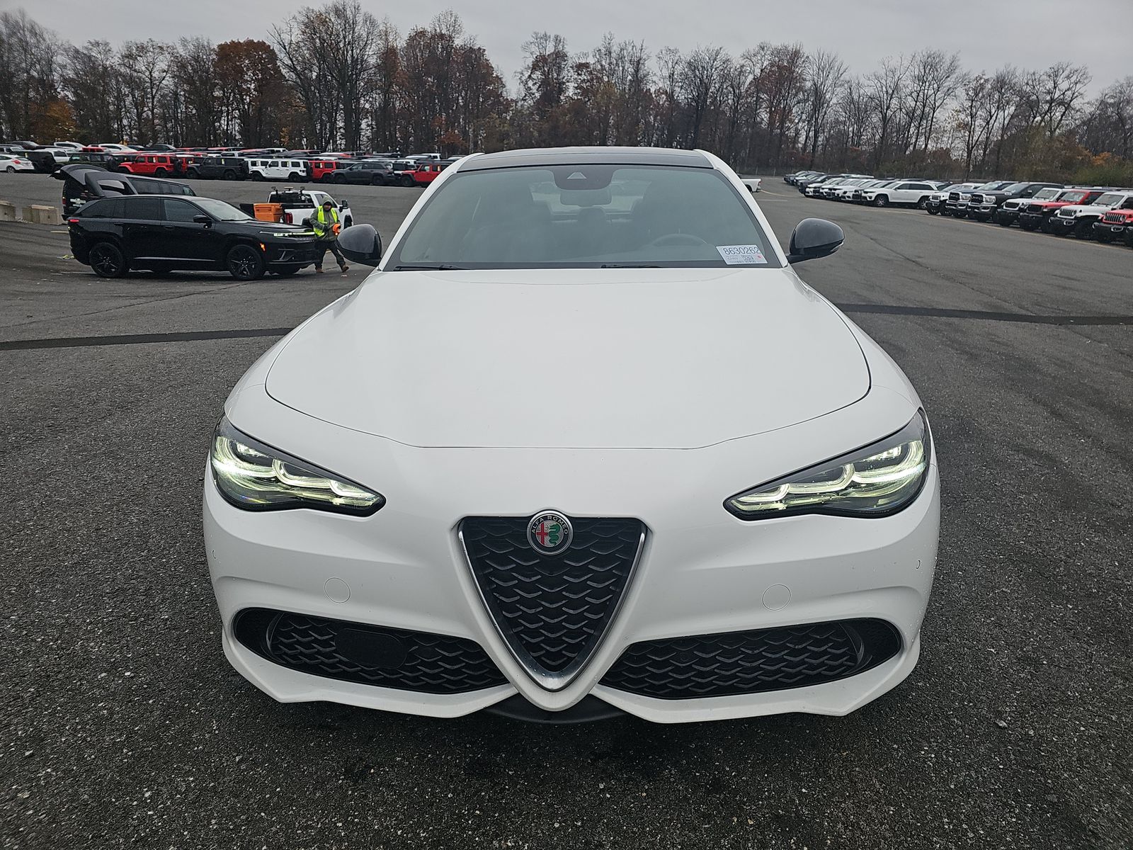 Alfa Romeo Giulia 2024 — photo 2