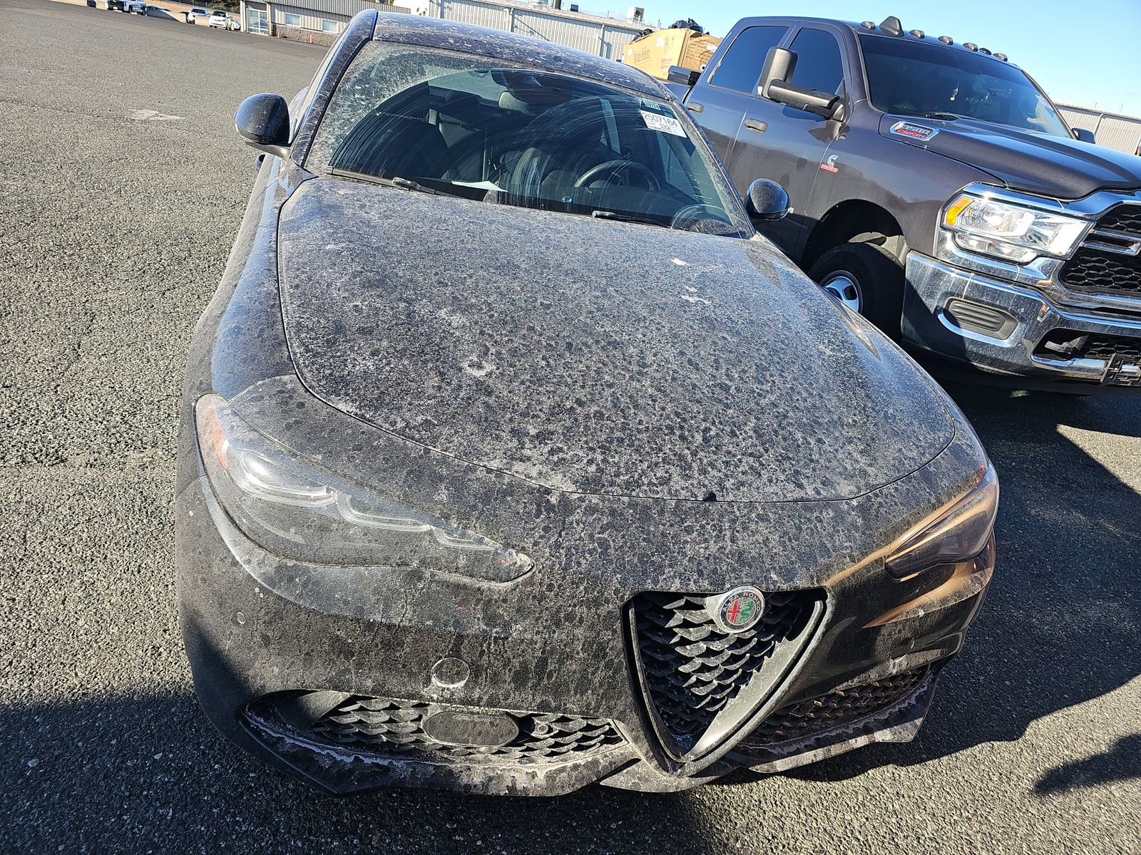 Alfa Romeo Giulia 2024 — photo 2