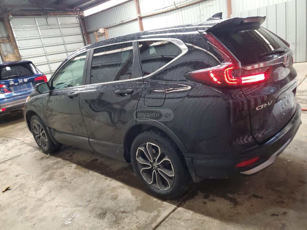 Honda CR-V 2020 — photo 2