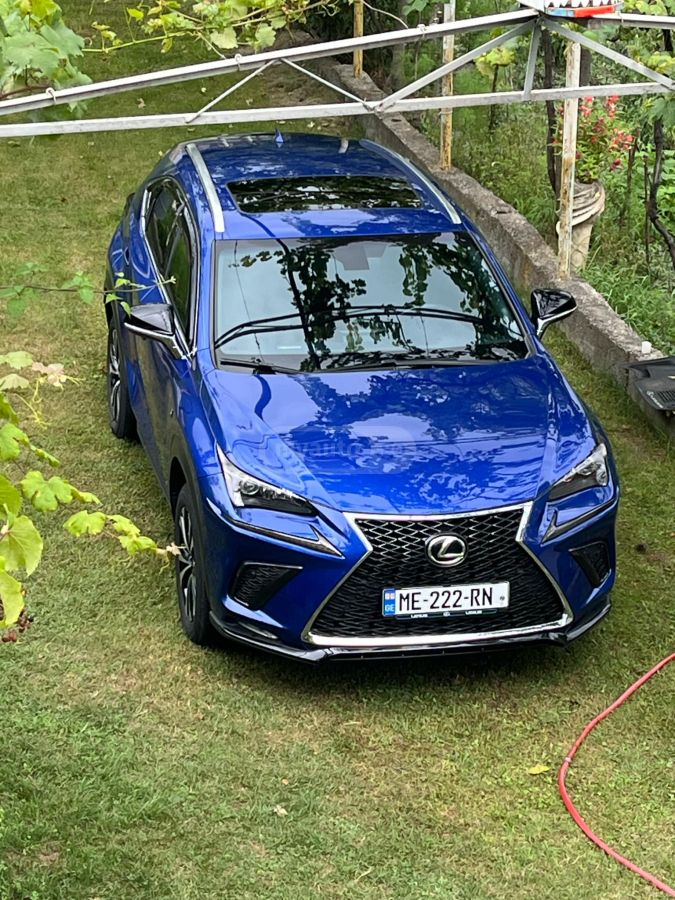 Lexus NX 200 2015 — photo 2