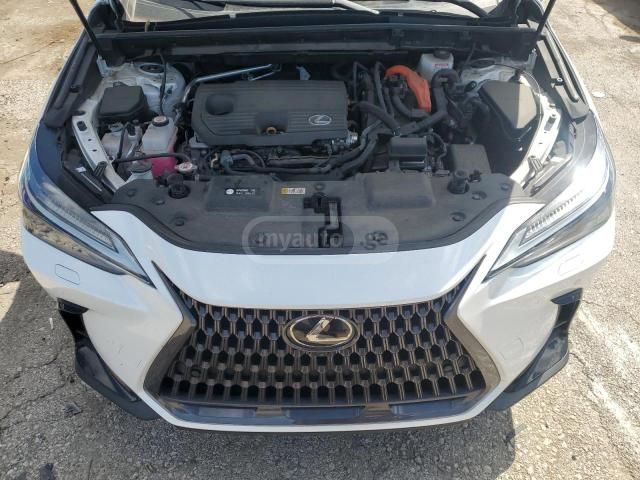 Lexus NX 350 2022 — photo 2