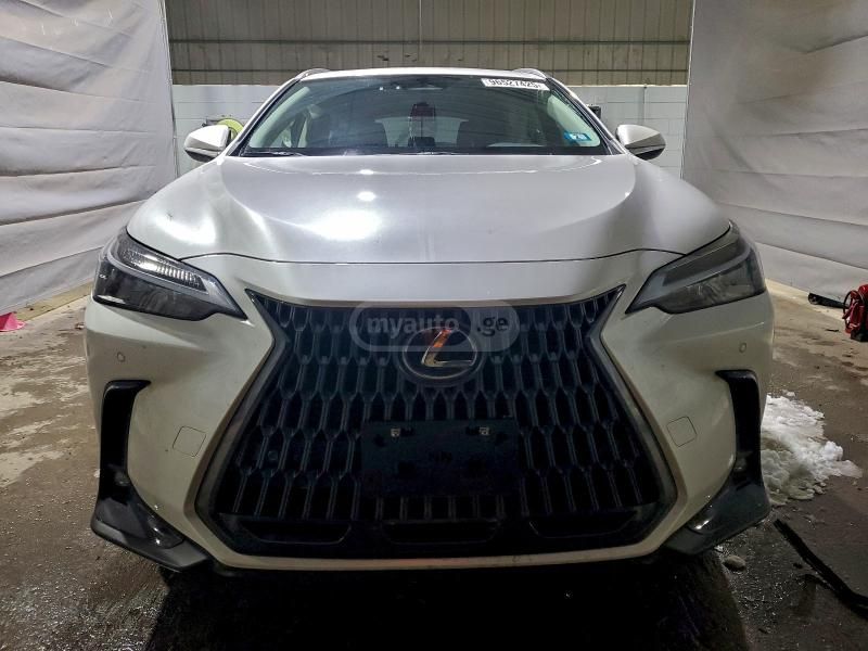 Lexus NX 350 2025 — photo 2