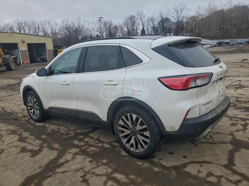Ford Escape 2020 — photo 2