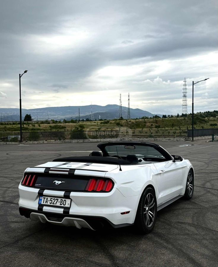 Ford Mustang 2017 — photo 2