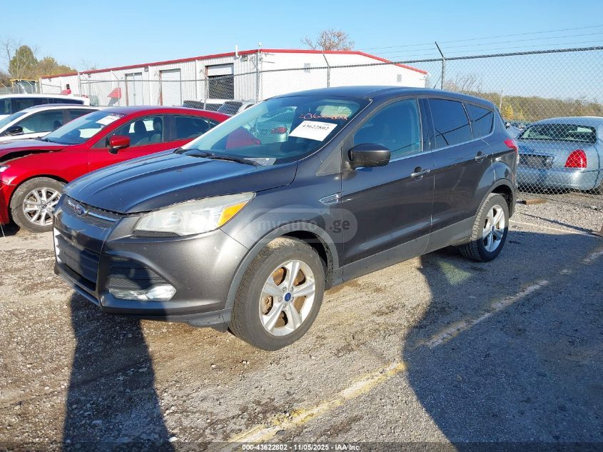 Ford Escape 2016 — photo 2