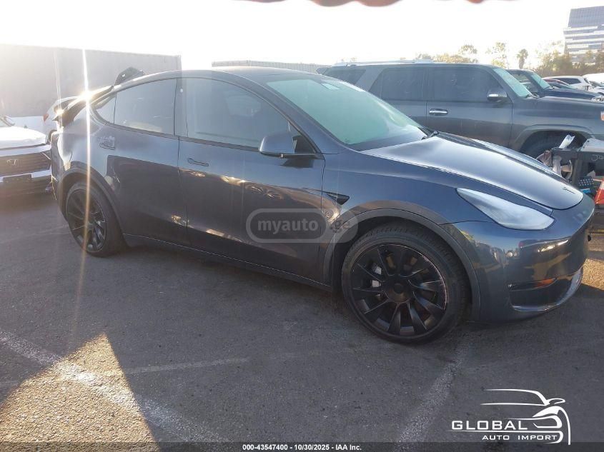 Tesla Model Y 2020 — photo 2