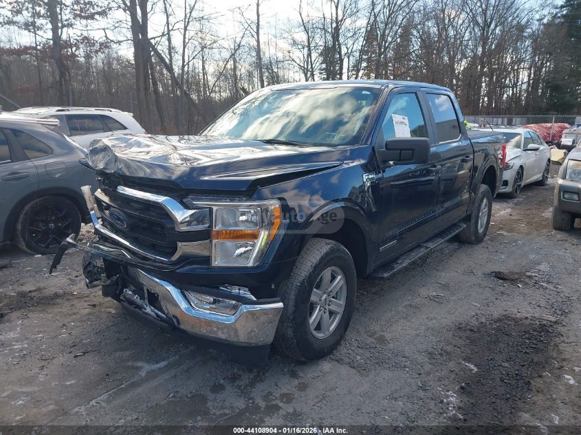 Ford F150 2022 — photo 2