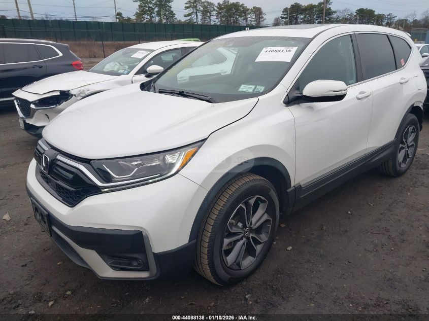 Honda CR-V 2022 — photo 2