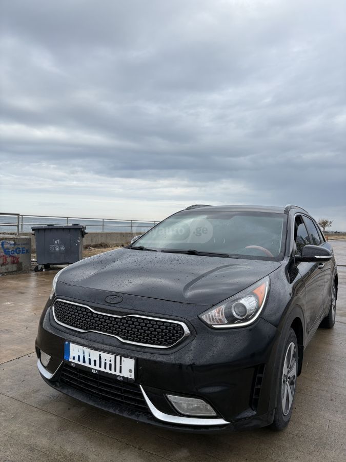 Kia Niro 2019 — photo 2
