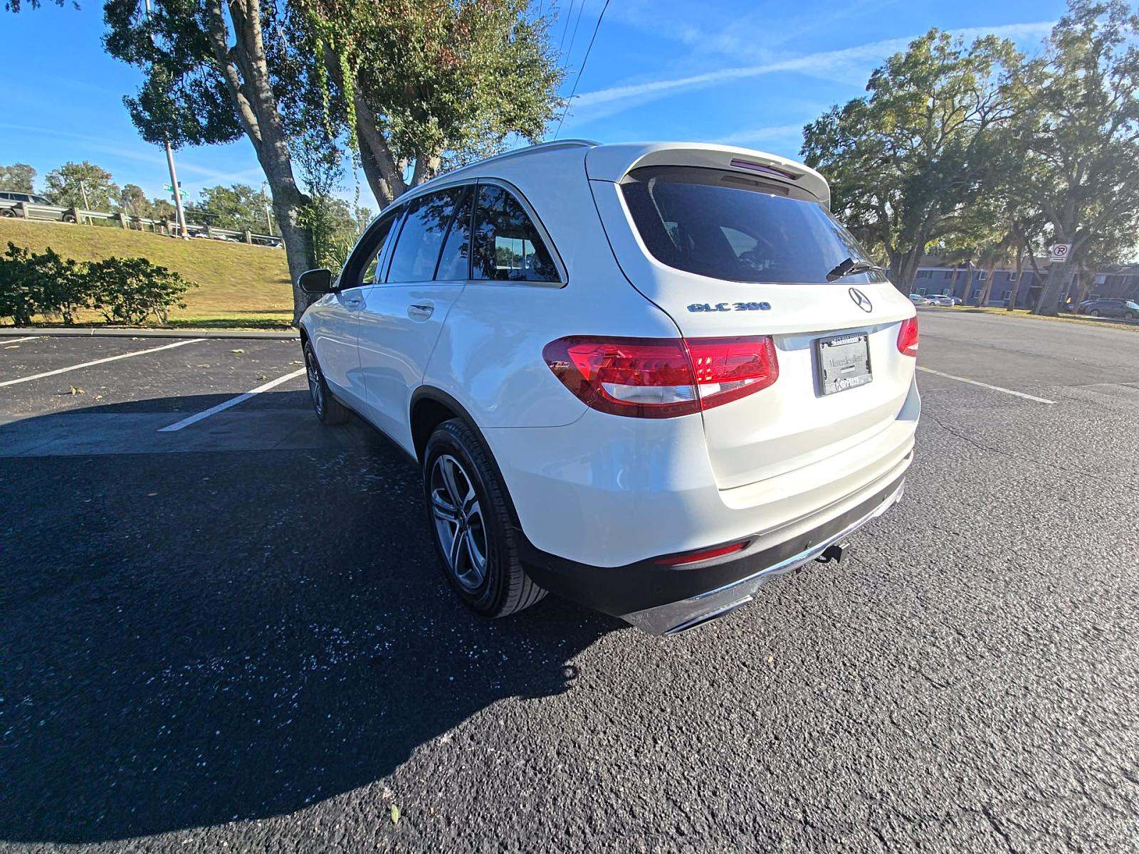 Mercedes-Benz GLC 300 2019 — photo 2