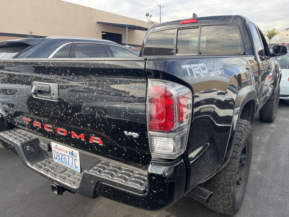 Toyota Tacoma 2020 — photo 2