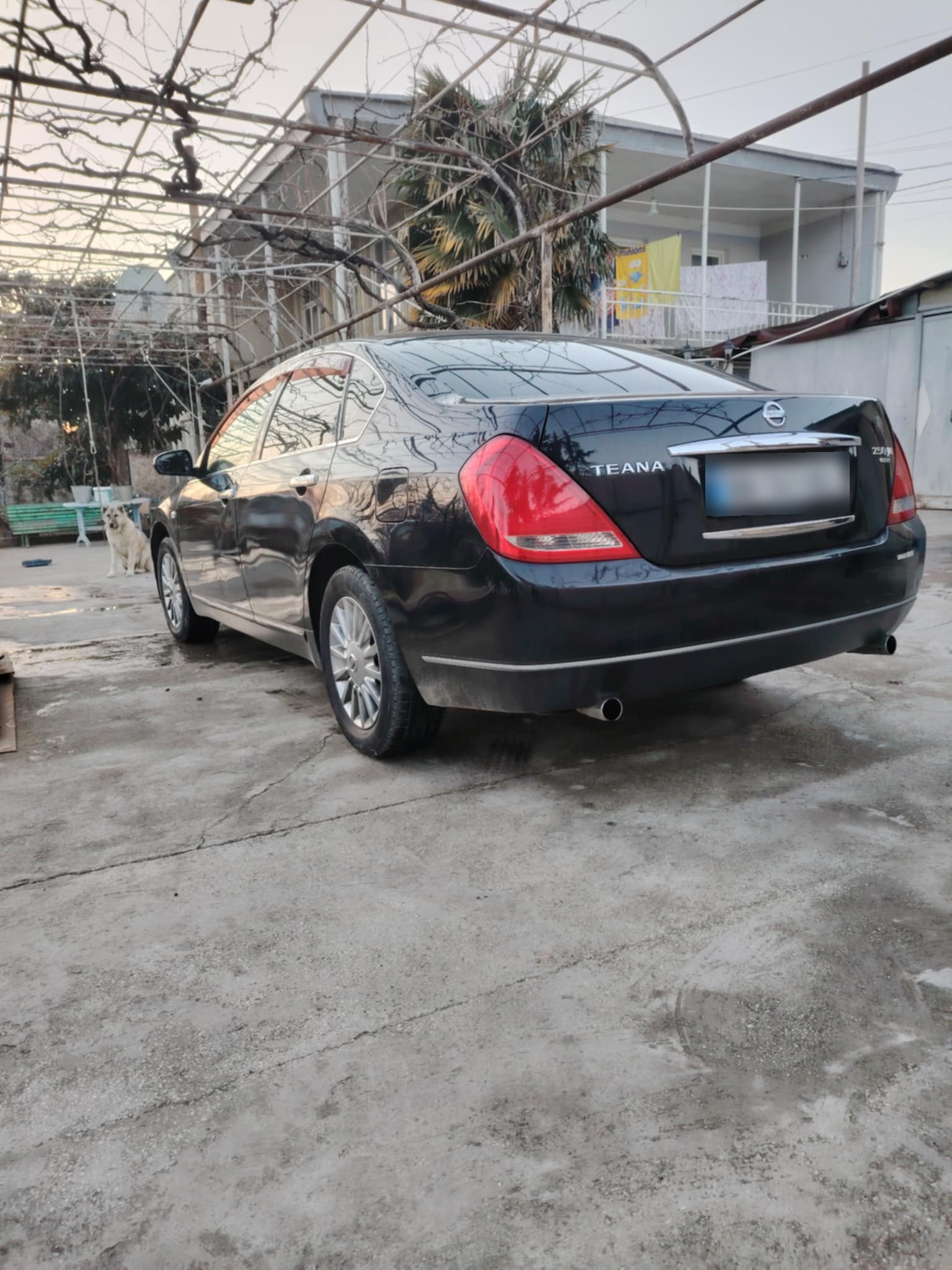 Nissan Teana 2004 — photo 2