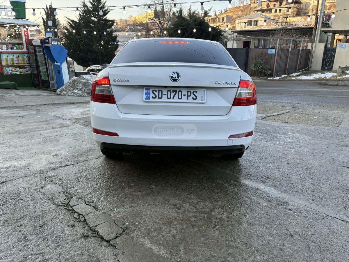 Skoda Octavia 2013 — photo 2