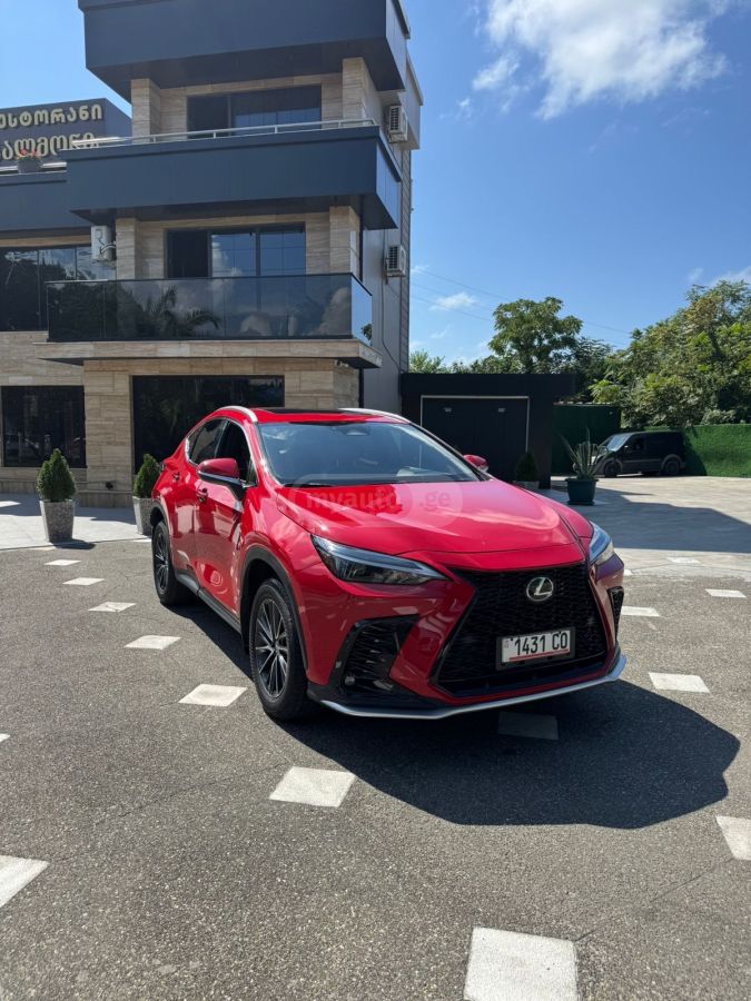Lexus NX 350 2023 — photo 2