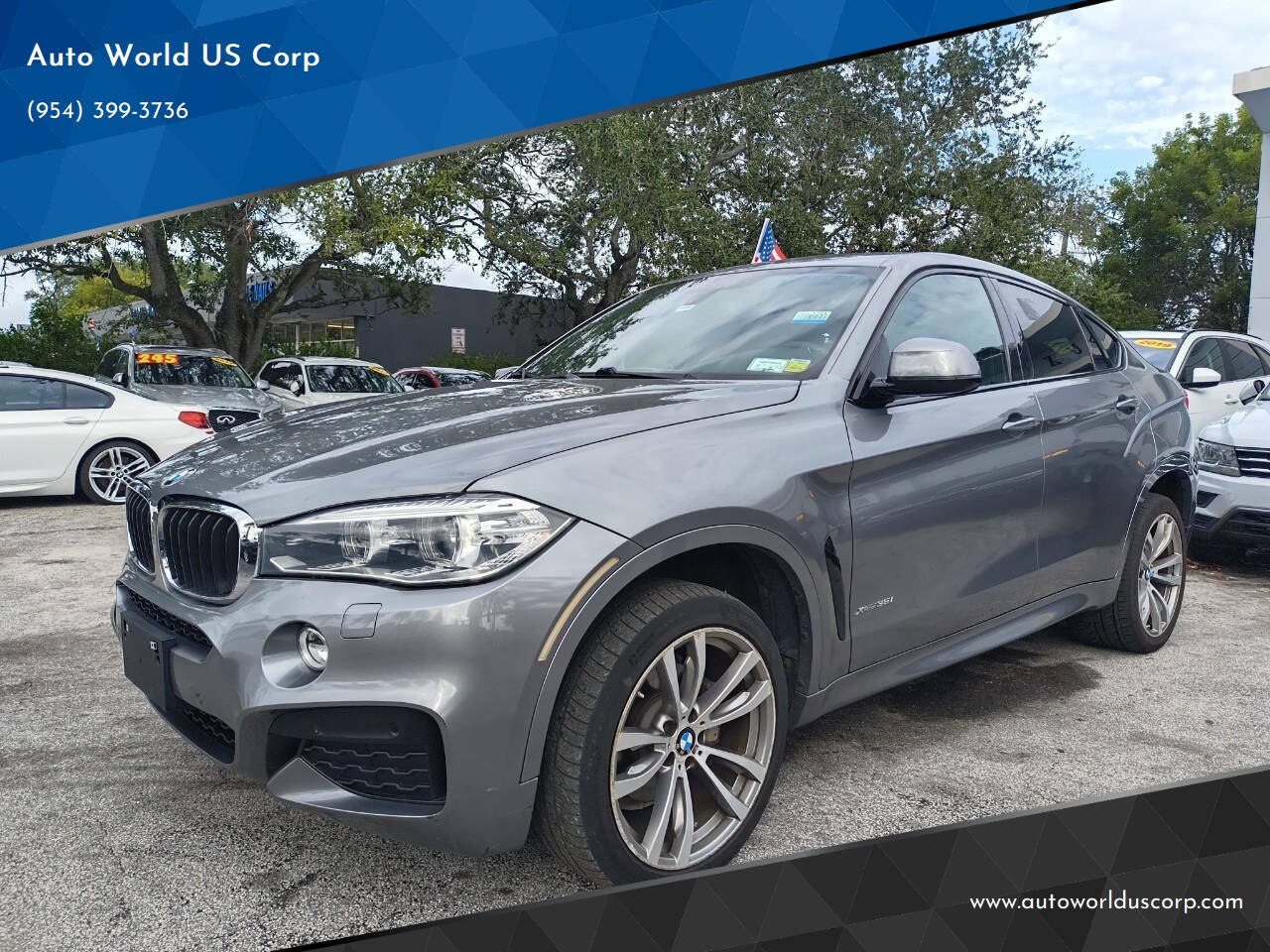 BMW X6