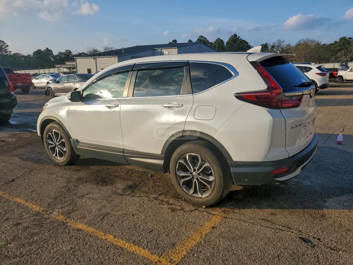 Honda CR-V 2022 — photo 2